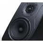 Студійний монітор IK MULTIMEDIA iLoud Precision 5
