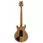 Електрогітара PRS SE Santana Abraxas Limited Edition