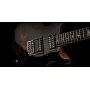 Електрогітара PRS SE Santana Abraxas Limited Edition