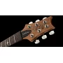 Електрогітара PRS SE Santana Abraxas Limited Edition