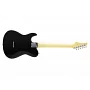 Електрогітара FUJIGEN JIL2-ASH-M Iliad J-Standard (2-Tone Sunburst)