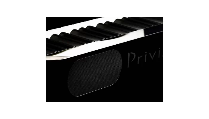 Цифровое пианино CASIO PX-S3000BK, фото № 5