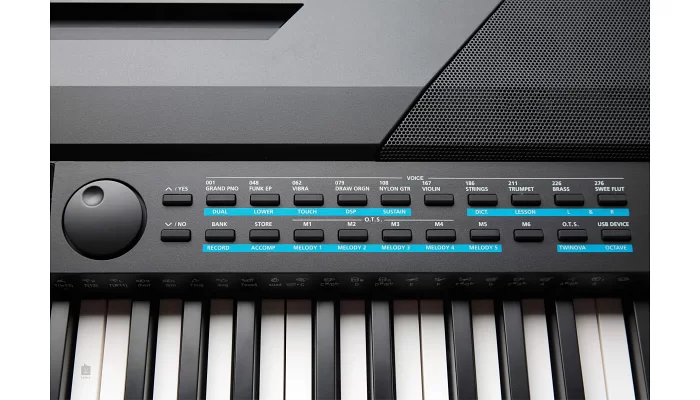 Цифровое пианино Kurzweil KA-120 (+блок питания и педаль), фото № 6