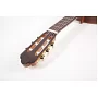 Класична гітара Antonio Sanchez S-3050 (Fishman Classic III)