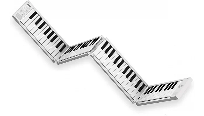 Фортепиано цифровое(раскладное) Blackstar CARRY ON Folding Piano 88, фото № 1