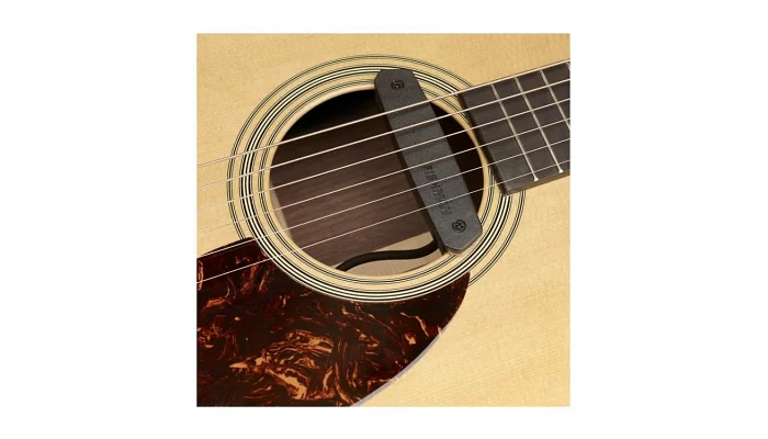 Звукознімач для акустичної гітари Fishman PRO-NEO-D02, фото № 2
