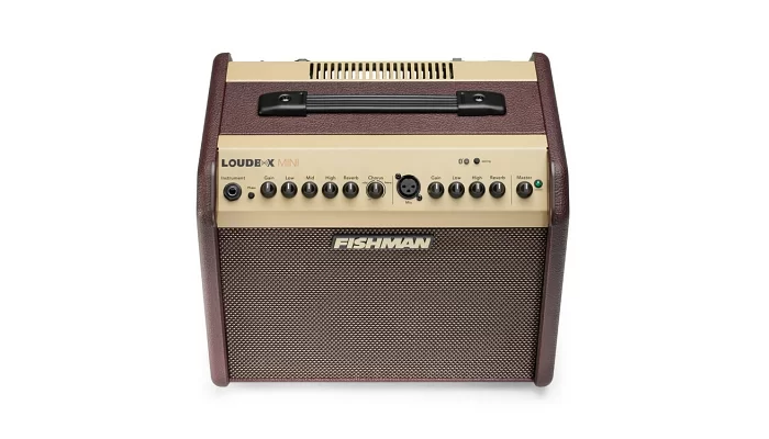 Гітарний комбопідсилювач Fishman PRO-LBT-EU5 Loudbox Mini 60, фото № 2