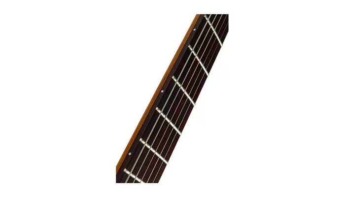 Електрогітара Mayones Setius 6 GTM, фото № 2