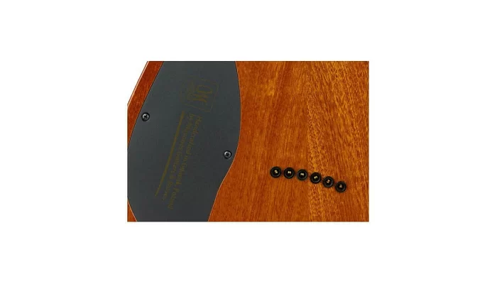 Електрогітара Mayones Setius 6 GTM, фото № 14