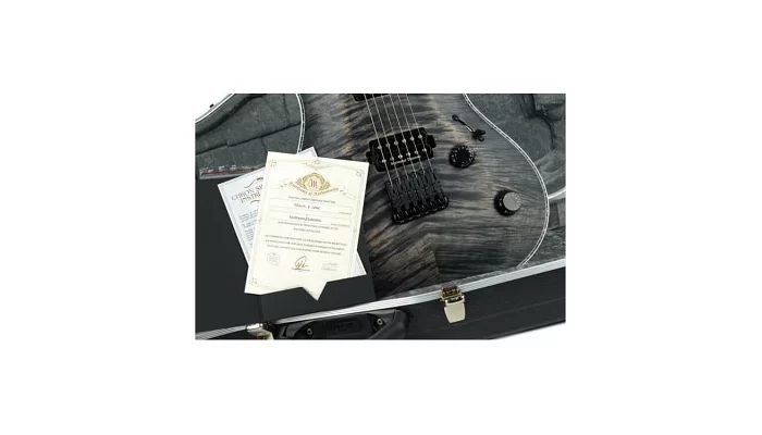 Електрогітара Mayones Regius 6 Core, фото № 3