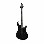 Електрогітара Mayones Regius 6 BK