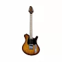 Электрогитара Mayones Legend T22