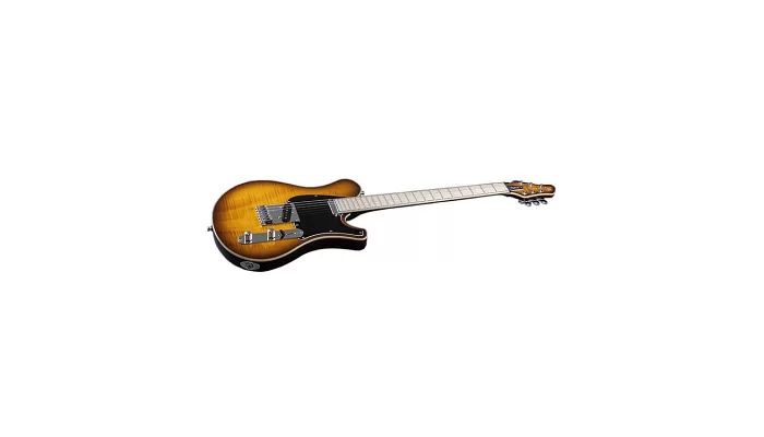 Электрогитара Mayones Legend T22, фото № 3