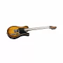 Электрогитара Mayones Legend T22