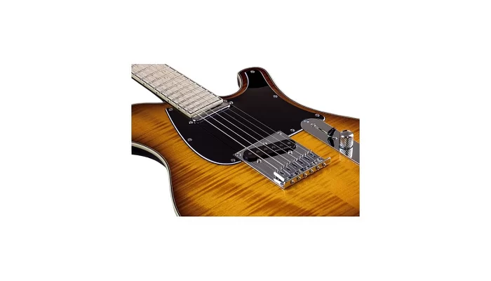 Электрогитара Mayones Legend T22, фото № 4