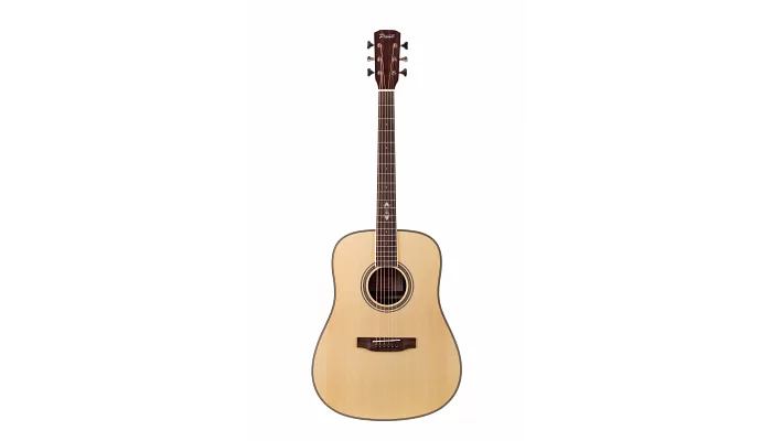 Акустическая гитара Prima DSAG205 Acoustic Guitar, фото № 1