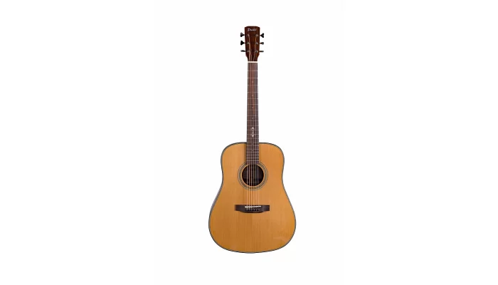 Акустическая гитара Prima DSAG219 Acoustic Guitar, фото № 1