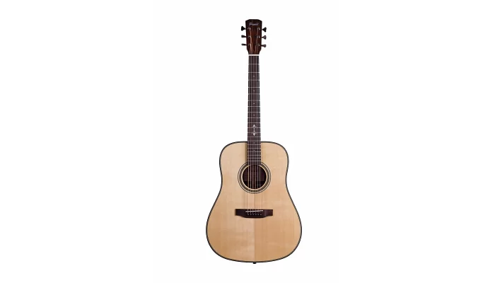 Акустическая гитара Prima DSAG218 Acoustic Guitar, фото № 1