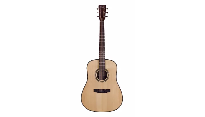 Акустическая гитара Prima DSAG215 Acoustic Guitar, фото № 1