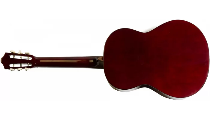 Акустическая гитара Virginia V-L05, фото № 2