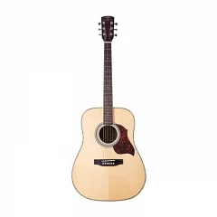 Акустическая гитара Virginia VD120S