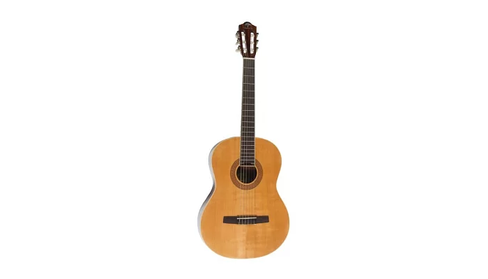 Классическая гитара Virginia V-C17