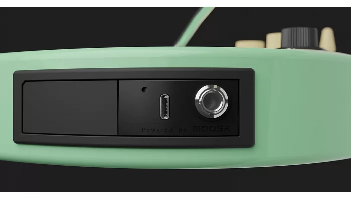 Електрогітара MOOER GTRS Standard 800 (Surf Green), фото № 4