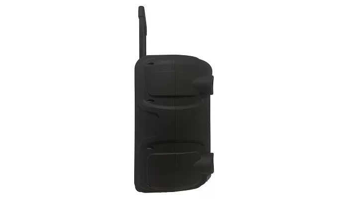 Автономна акустична система TMG SM1210 (2MIC+USB+MP3+FM+BT), фото № 4