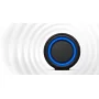 Портативная акустическая система Sony SRS-XG300 Black SRSXG300B.RU4