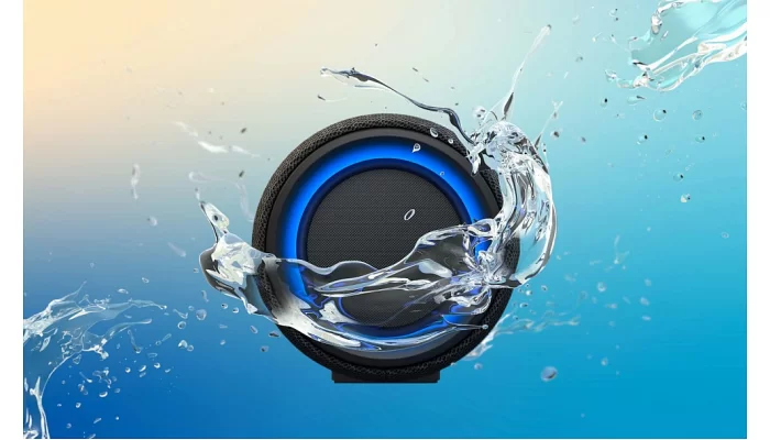 Портативная акустическая система Sony SRS-XG300 Black SRSXG300B.RU4, фото № 12