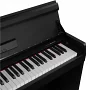 Цифровое пианино NUX WK-310 (black)