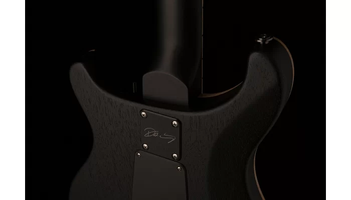 Електрогітара PRS DW CE 24 FLOYD (Waring Burst), фото № 8