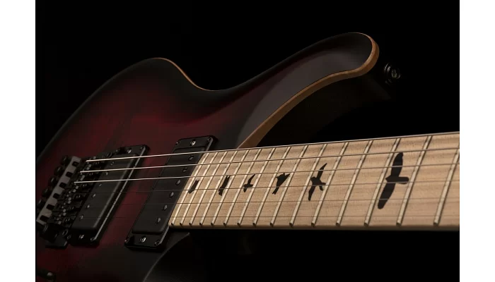 Електрогітара PRS DW CE 24 FLOYD (Waring Burst), фото № 5