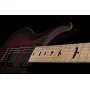 Електрогітара PRS DW CE 24 FLOYD (Waring Burst)