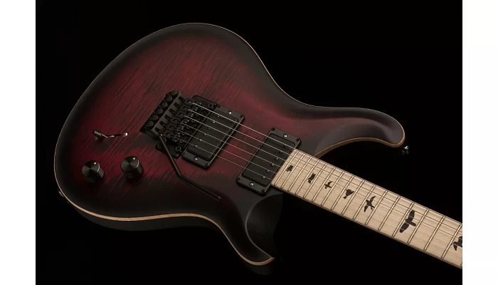 Електрогітара PRS DW CE 24 FLOYD (Waring Burst), фото № 4
