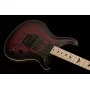 Електрогітара PRS DW CE 24 FLOYD (Waring Burst)