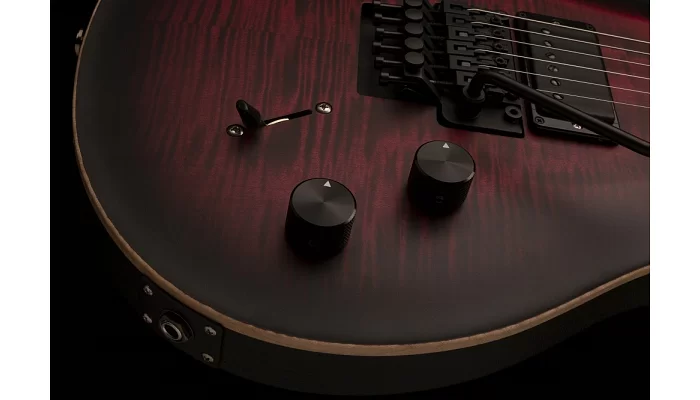 Електрогітара PRS DW CE 24 FLOYD (Waring Burst), фото № 7