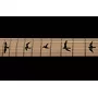 Електрогітара PRS DW CE 24 FLOYD (Waring Burst)