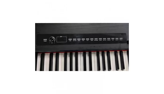 Цифровое пианино Alfabeto Animato (2023), фото № 3