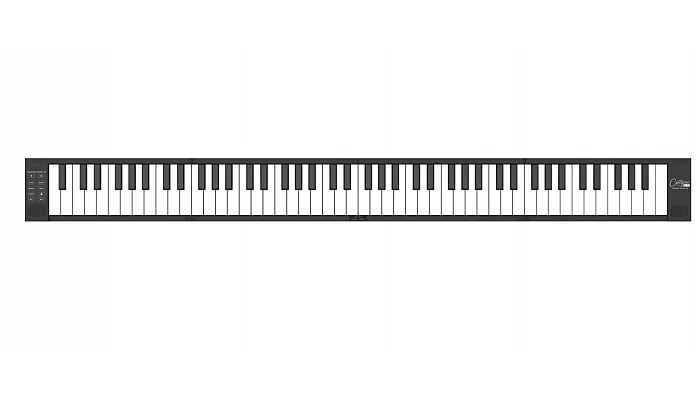 Складная MIDI-клавиатура Blackstar Carry-on Folding Piano (88 клавиш) Black, фото № 1