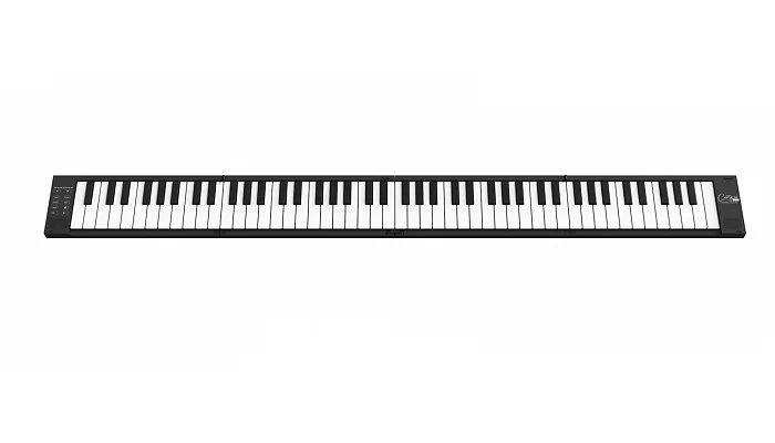 Складная MIDI-клавиатура Blackstar Carry-on Folding Piano (88 клавиш) Black, фото № 2