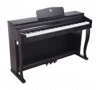 Цифрове піаніно Alfabeto Allegro (Black)