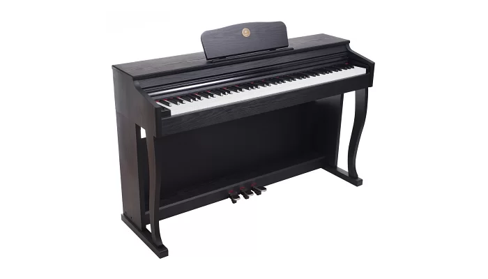Цифровое пианино Alfabeto Allegro (Black), фото № 1