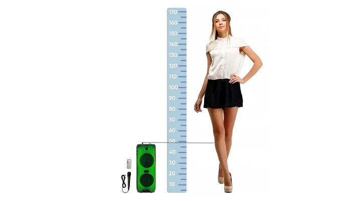 Автономна акустична система TMG RX-6268 (1MIC+MP3+USB+FM+BT), фото № 2