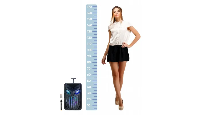 Автономна акустична система TMG RX-1225C (1MIC+BT+USB+SD+FM), фото № 2