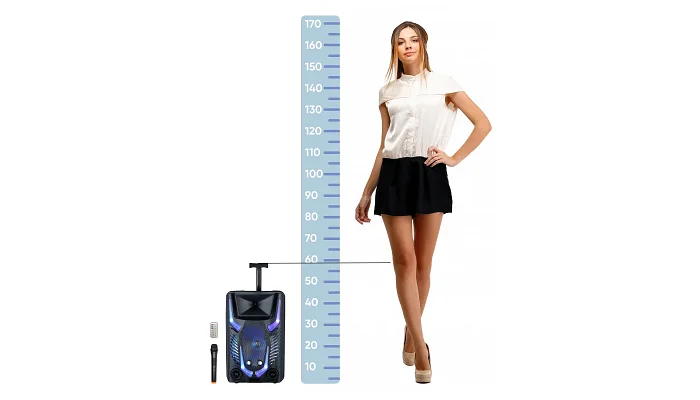 Автономна акустична система TMG RX-1225A (1MIC+BT+USB+SD+FM), фото № 2