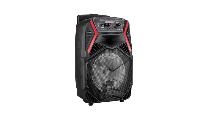 Автономна акустична система TMG OTY-895 (1MIC+BT+USB+SD+FM), фото № 2