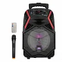 Автономна акустична система TMG OTY-895 (1MIC+BT+USB+SD+FM)
