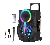 Автономна акустична система TMG NDR-P08 (1MIC+MP3+USB+FM+BT)