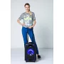 Автономна акустична система TMG NDR-2010 (1MIC+MP3+USB+FM+BT)